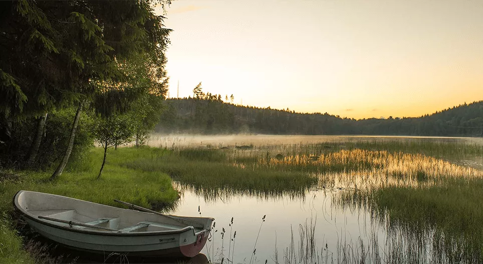 حماية المياه