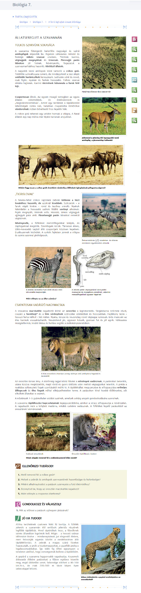 PDF nebo HTML