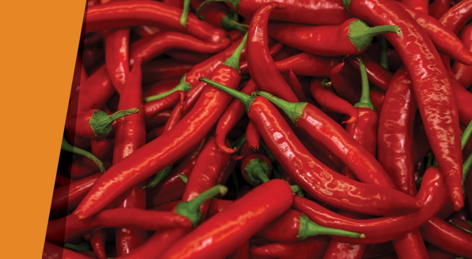 Подобно с подобно