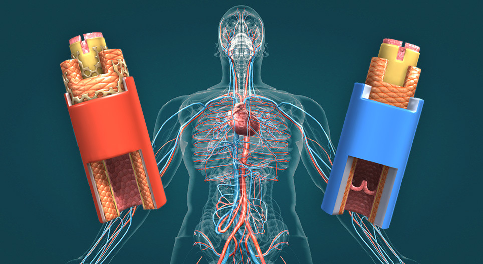 Кръвоносни съдове