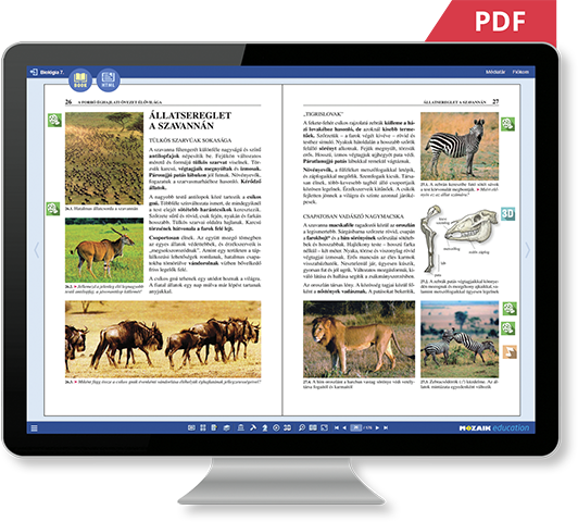 PDF nebo HTML