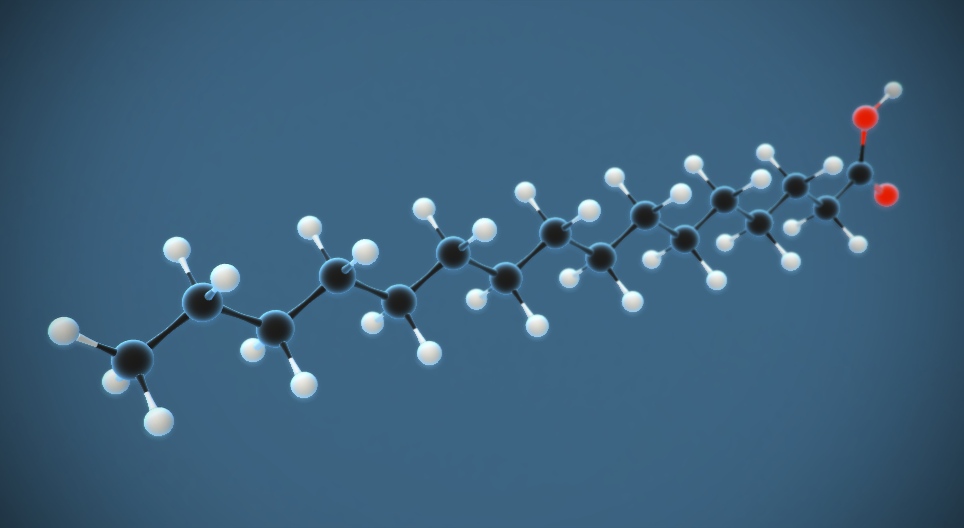 Kyselina palmitová (kyselina hexadekánová) (C₁₅H₃₁COOH)