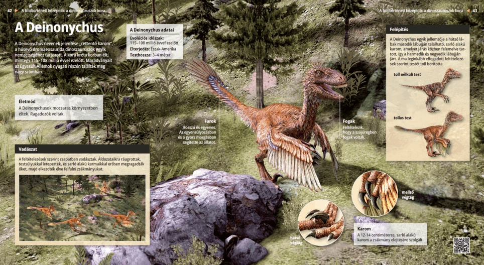 Der Deinonychus