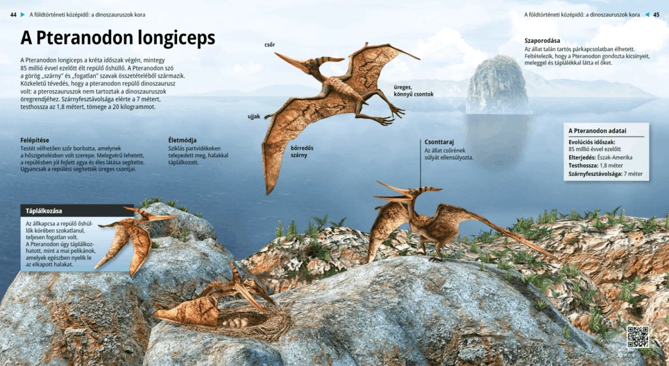 Der Pteranodon