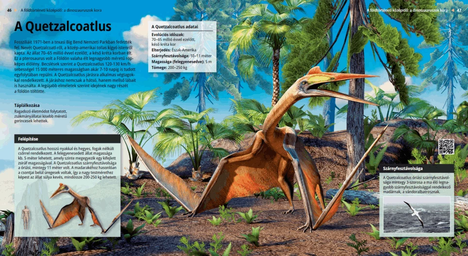 Der Quetzalcoatlus