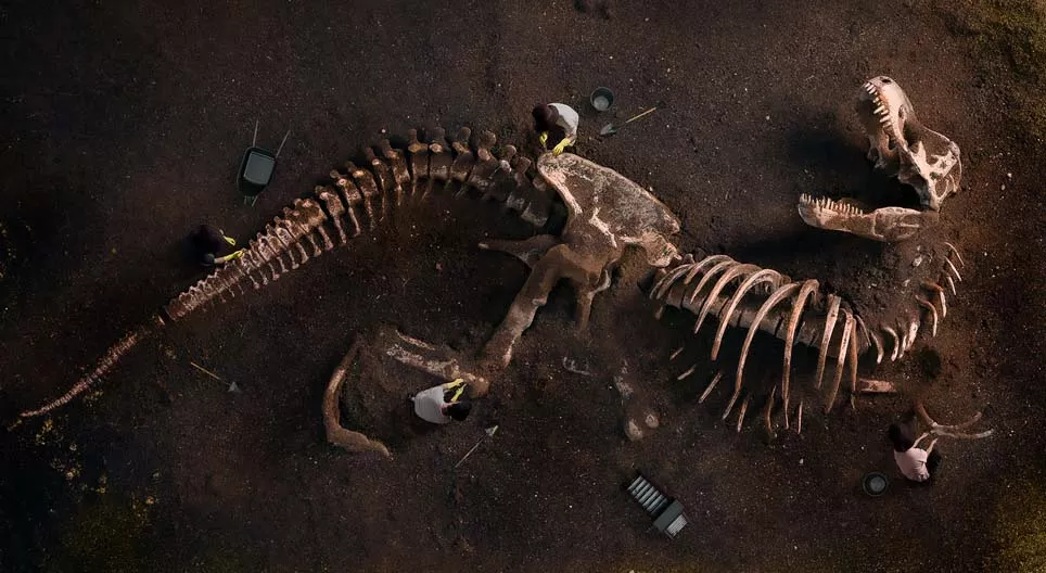 Was erzählen uns Fossilien?