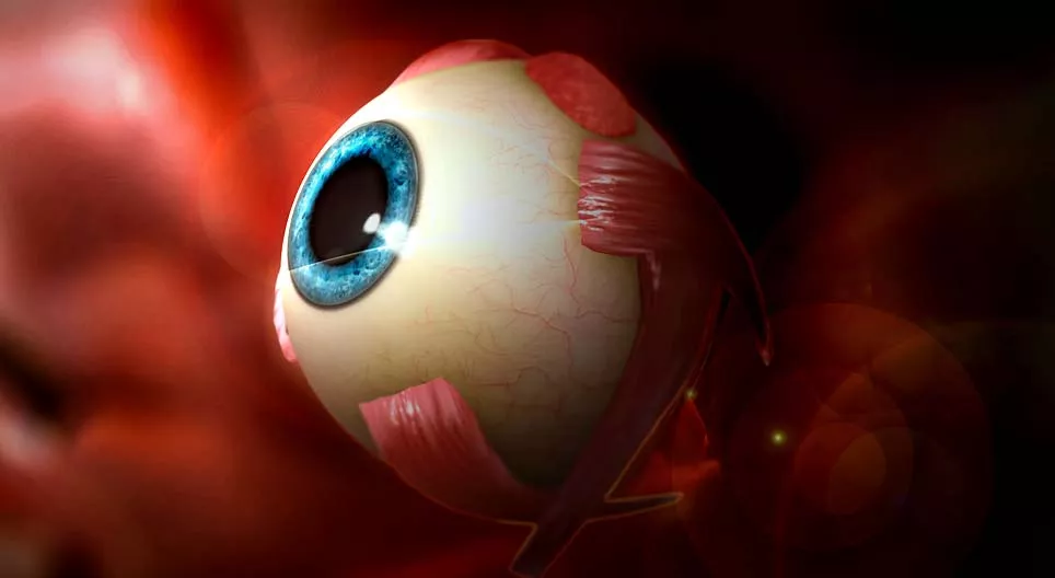 Wie funktioniert das Auge?