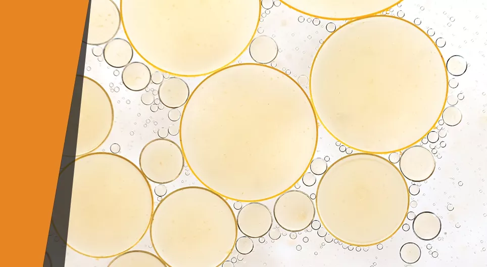 Verschwindende Fette