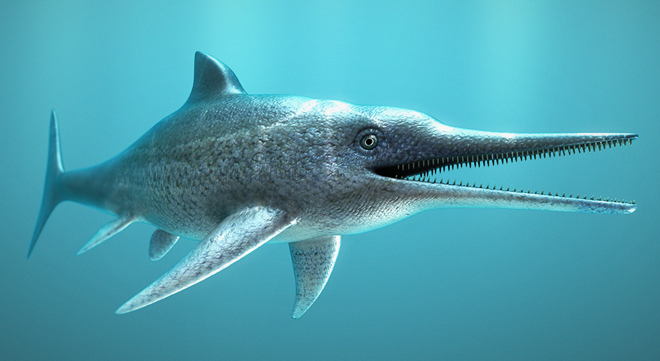 Der Ichthyosaurus (Fischechse)