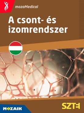 Book MS-6701-HU