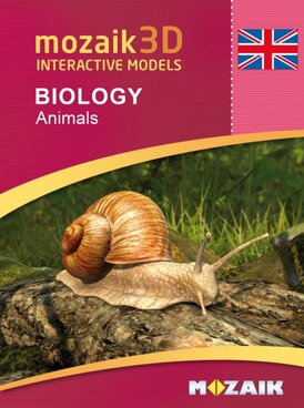 Book MS-9501