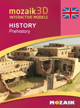 Book MS-9513