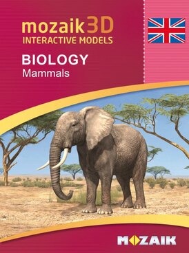 Book MS-9523