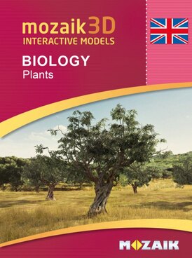Book MS-9524