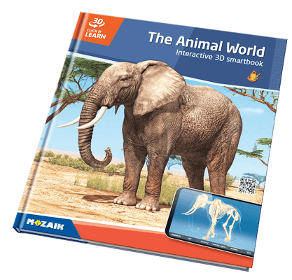 Book MS-6413-EN