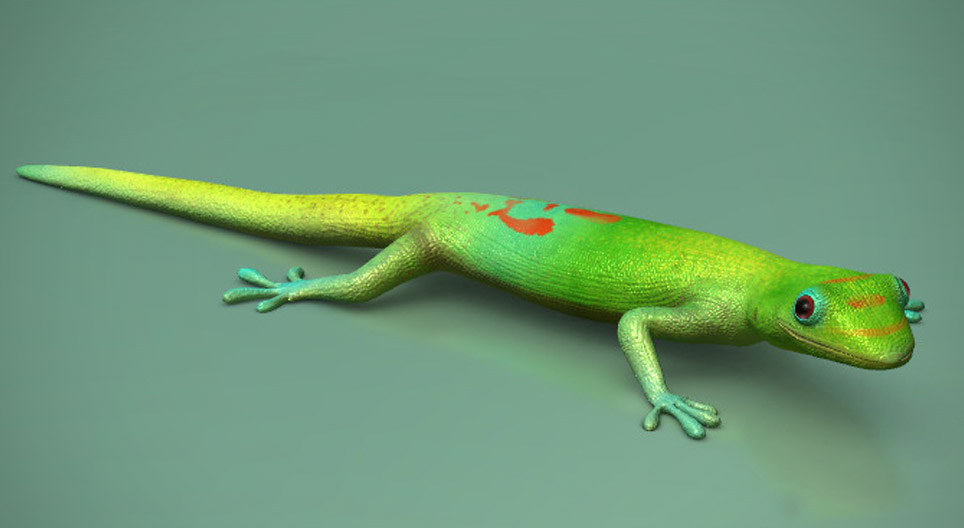 How do geckos' feet adhere to smooth surfaces?