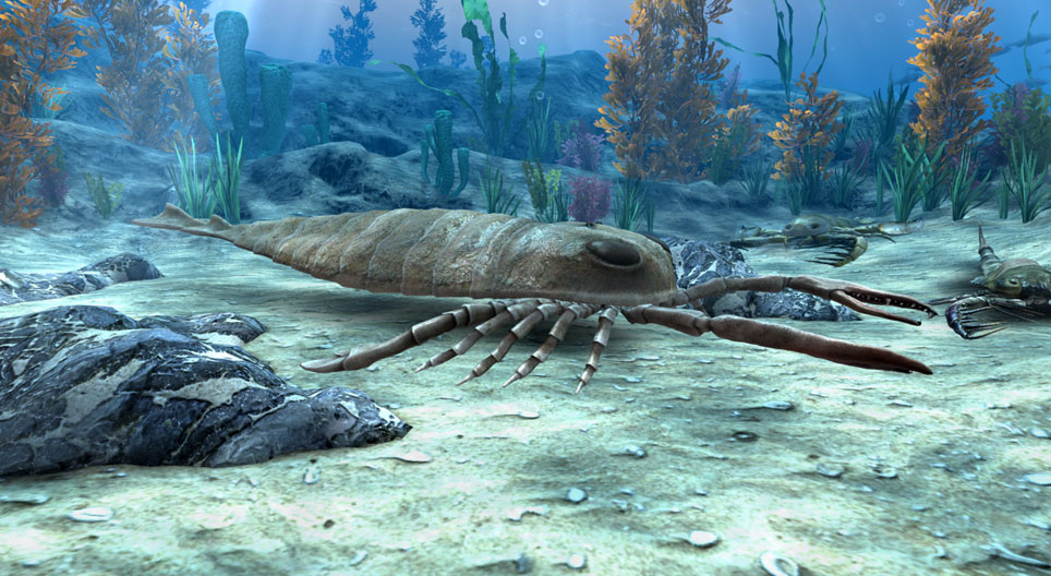 Monsters of the Palaeozoic: sea scorpions