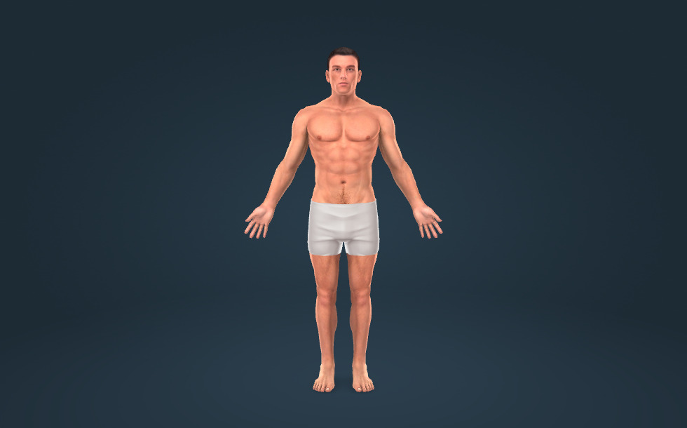 Body parts