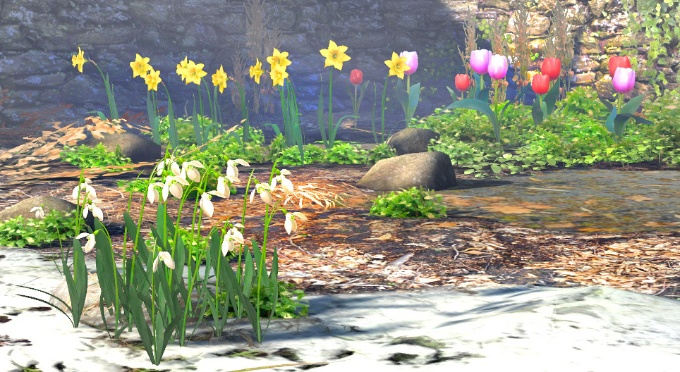 Bulbous spring plants