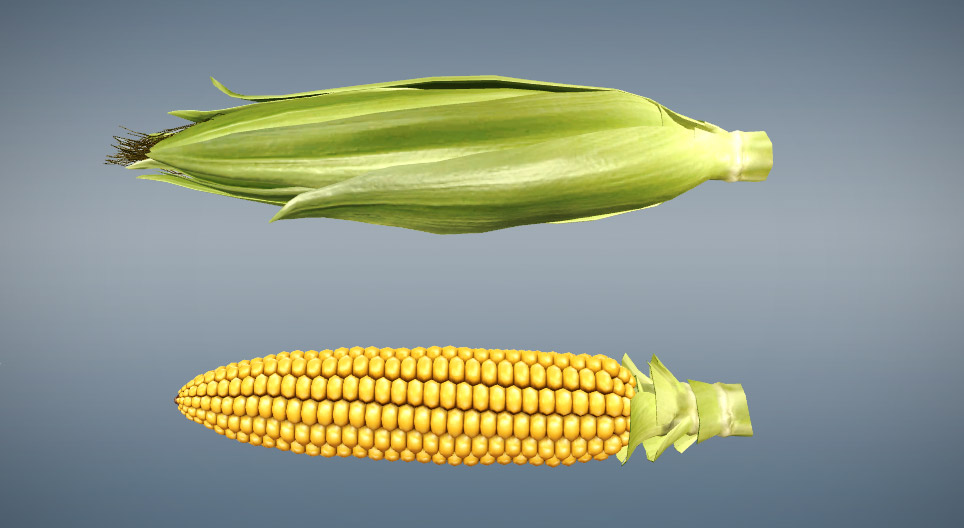 Maize