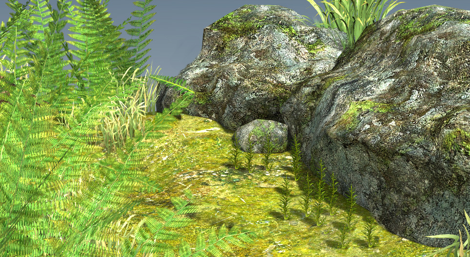 The life cycle of mosses and ferns