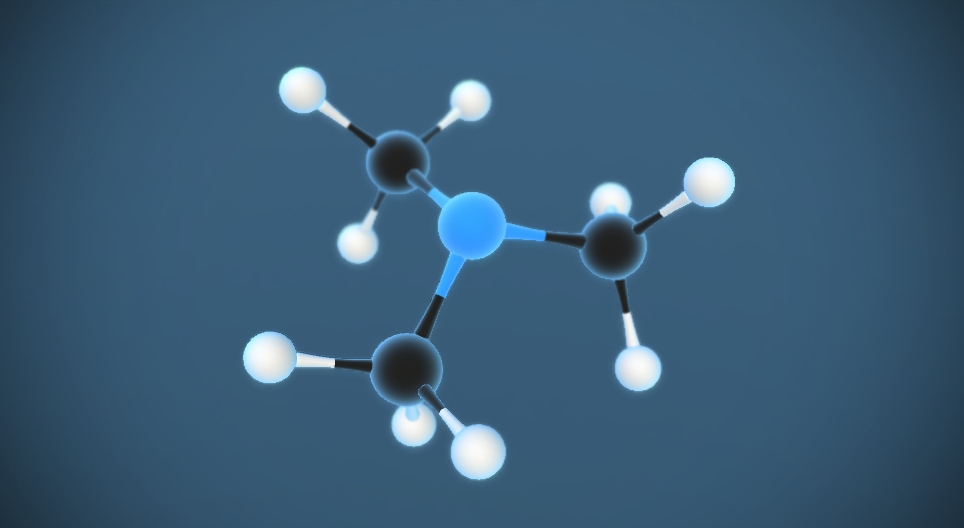 Trimethylamine N(CH₃)₃