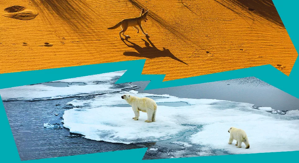 ¿Por qué existen desiertos y casquetes de hielo en la Tierra?