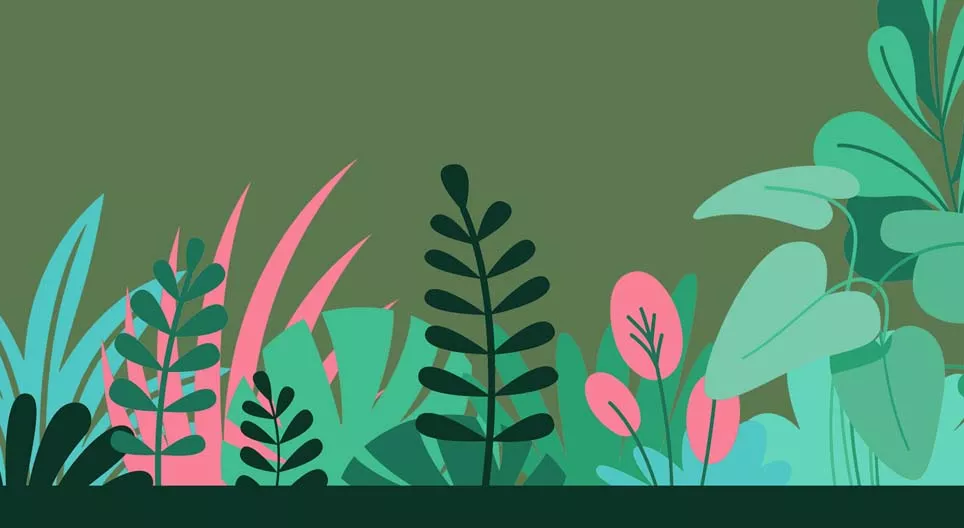 Las plantas herbáceas