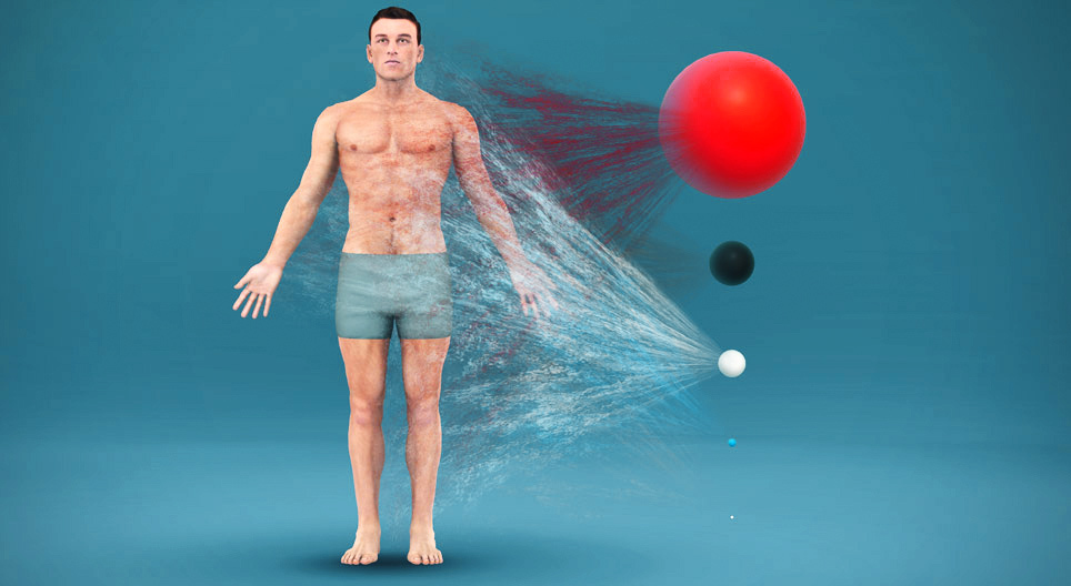 ¿De qué se compone el cuerpo humano?