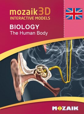Book MS-9502