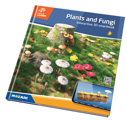 Book MS-6417-EN