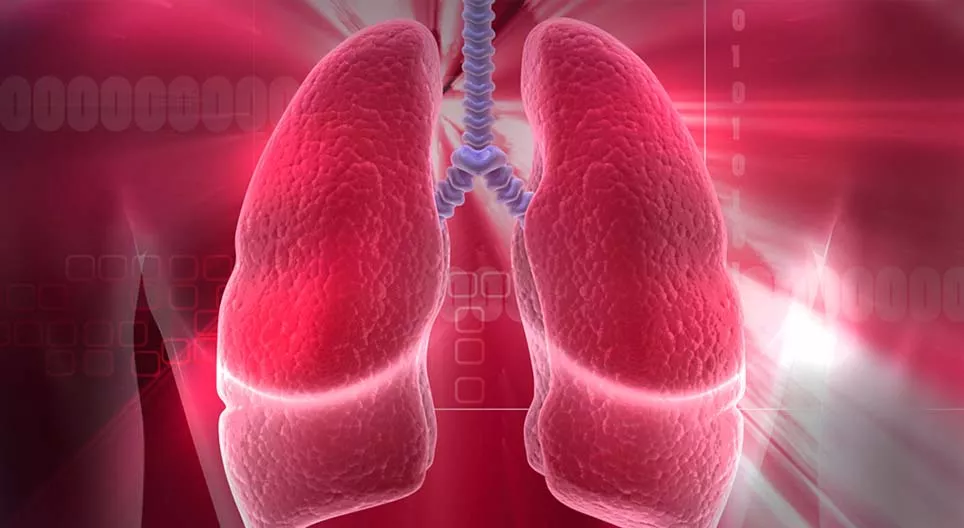 10 things to know about the human respiratory system