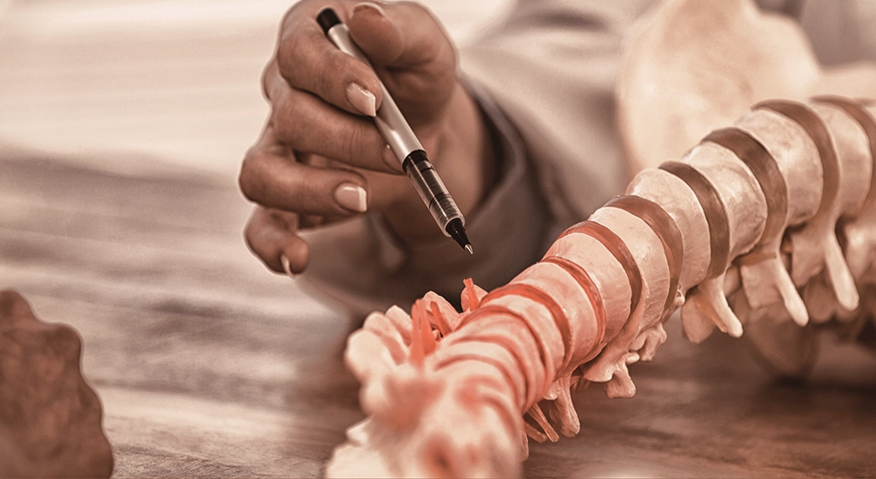 A gerinc degeneratív megbetegedései