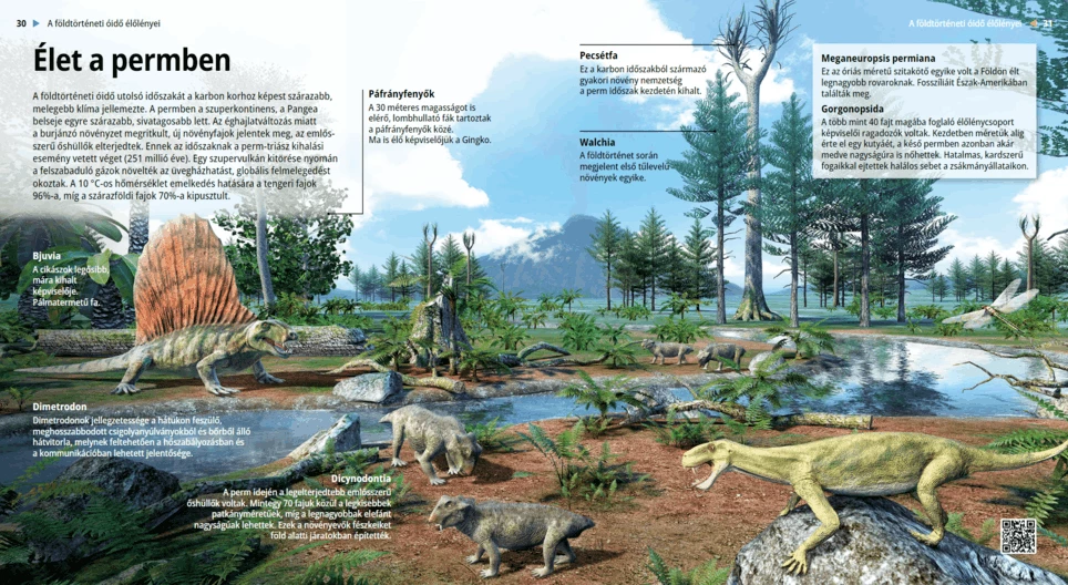 Life in the Permian Period