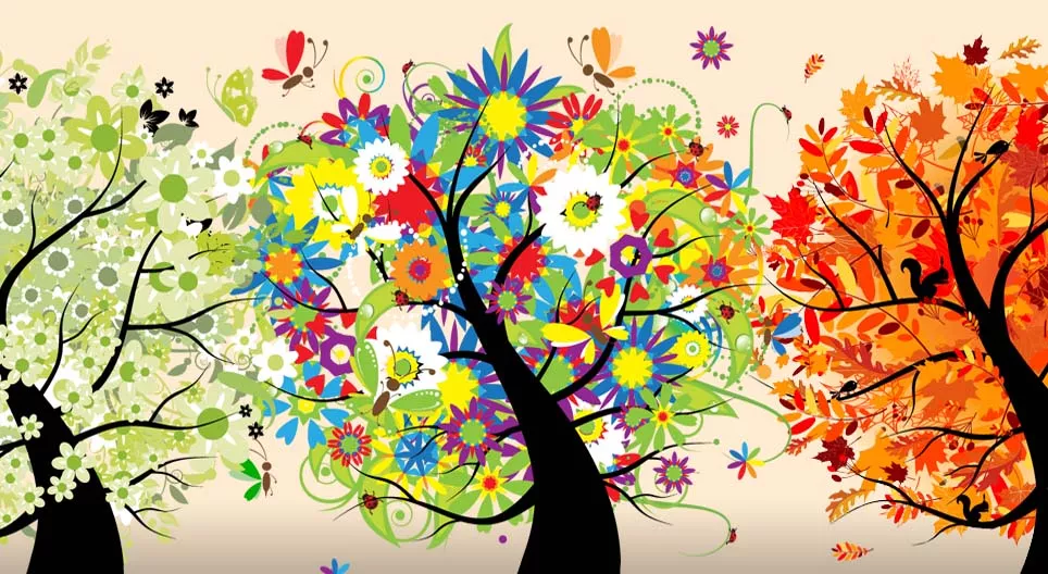 Que sont les saisons ?