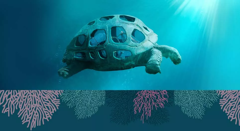 Les processus qui menacent les océans