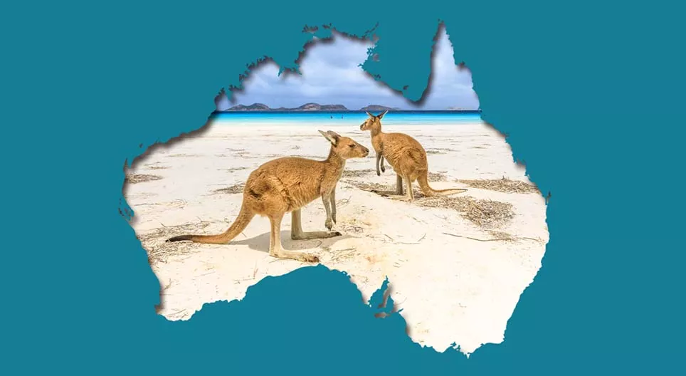 Problèmes environnementaux au pays des kangourous