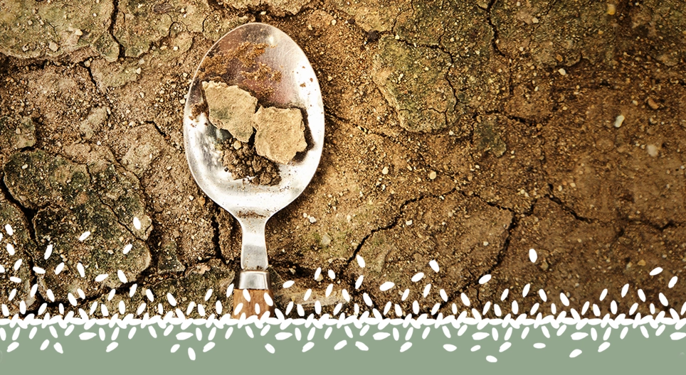 Crise alimentaire mondiale