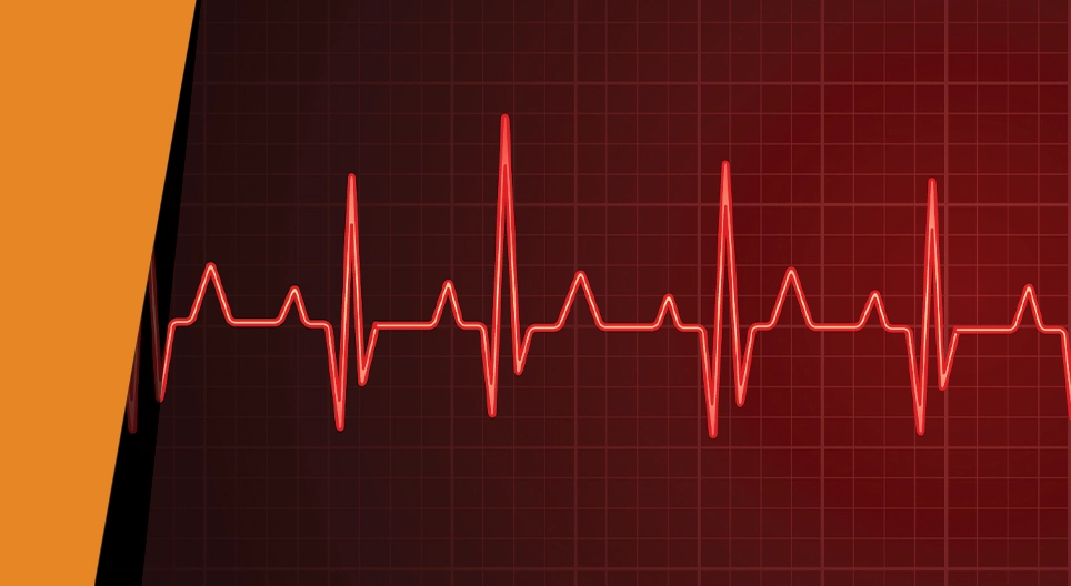 Le rythme de votre cœur