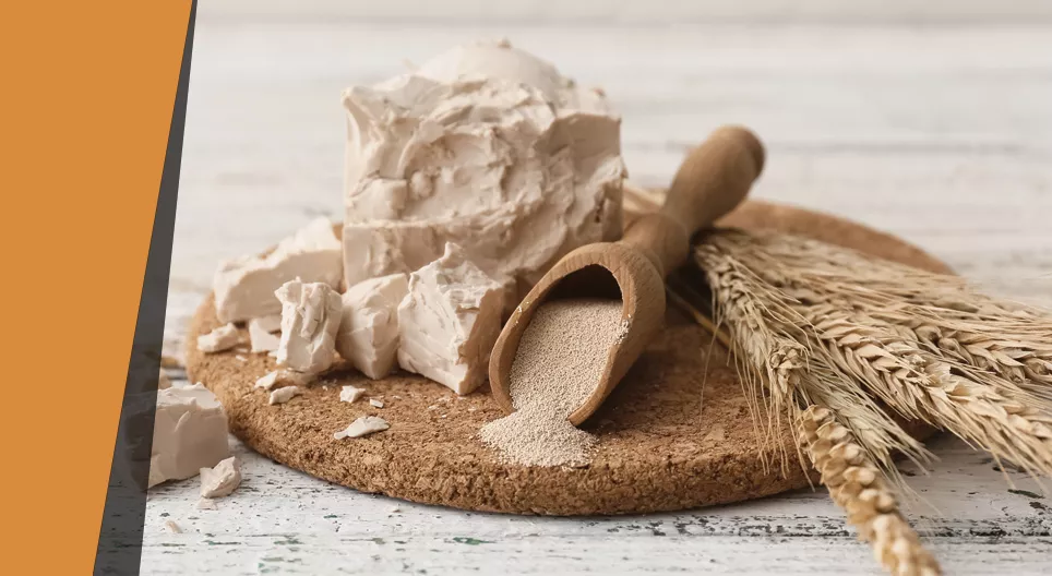 Ballon gonflé par les levures