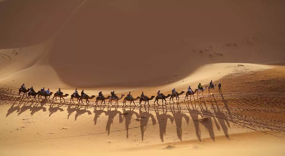 Pridružite se karavani!