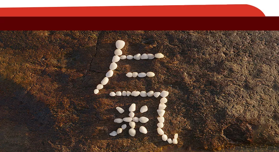 Advanced Character Radicals