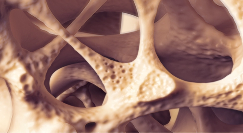 A csontszövet biomechanikai tulajdonságai