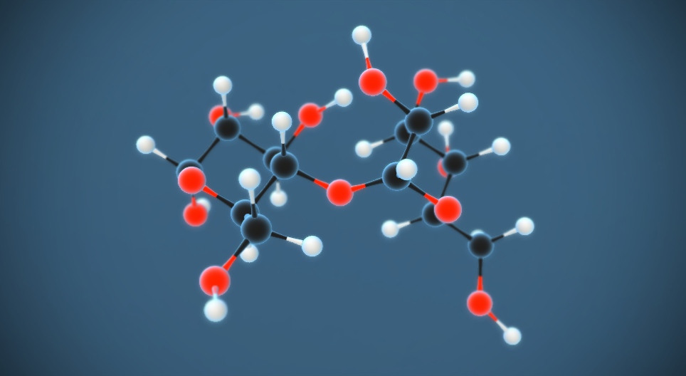 Molekularne vježbe VI. (Ugljikohidrati)
