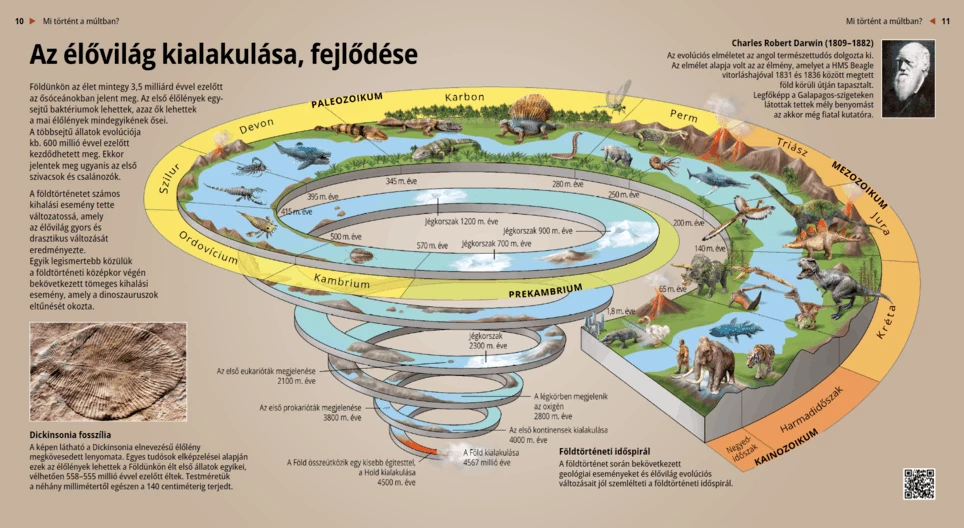 Az élővilág kialakulása, fejlődése