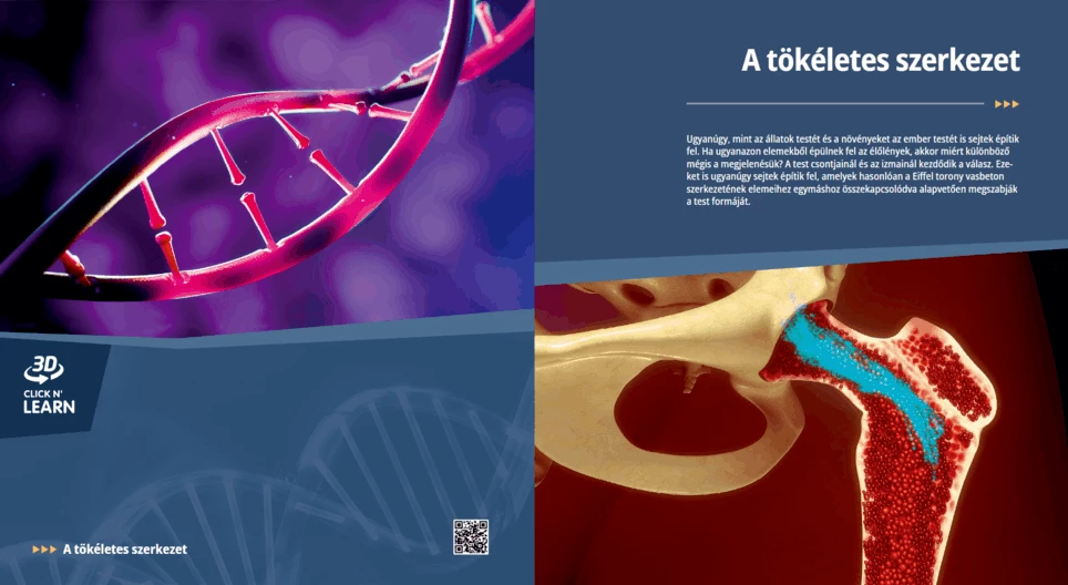 A tökéletes szerkezet