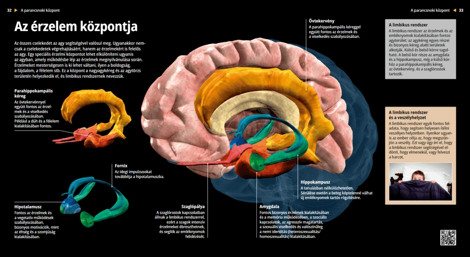 Az érzelem központja
