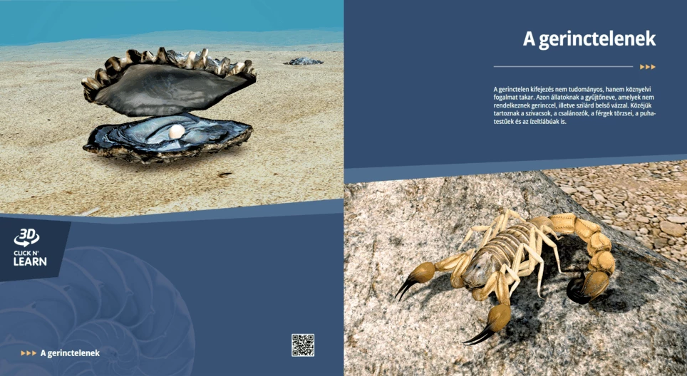 A gerinctelenek