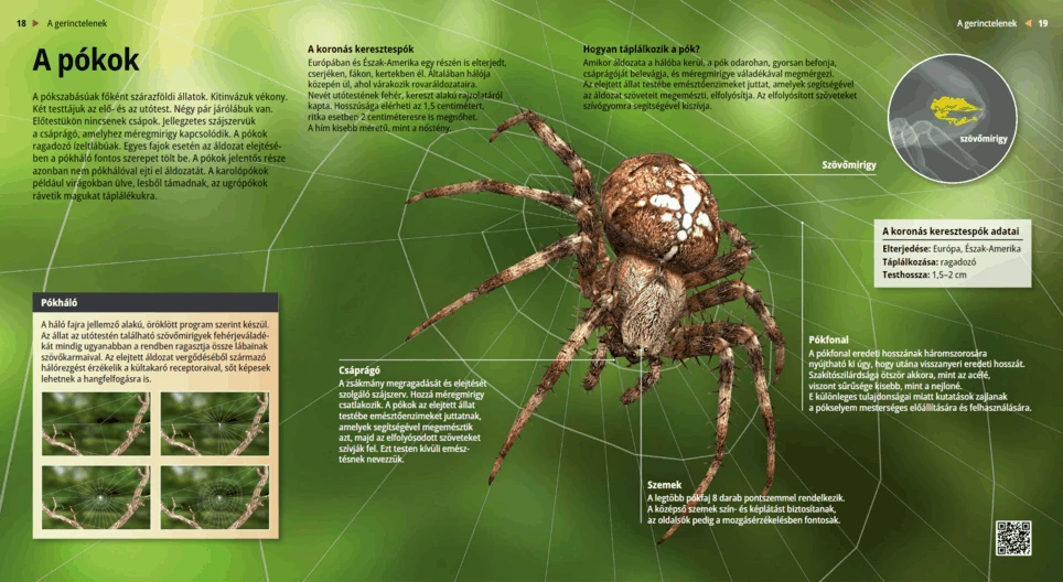 Veszedelmes skorpiók