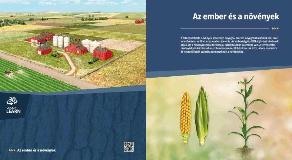 Az ember és a növények